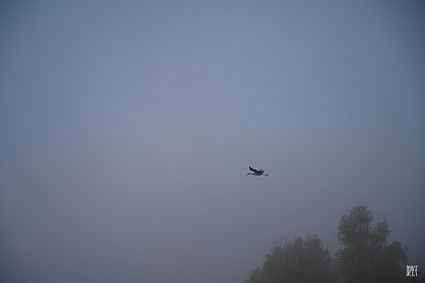 DRY_0154