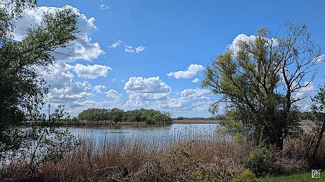 PXL_20250419_115822814