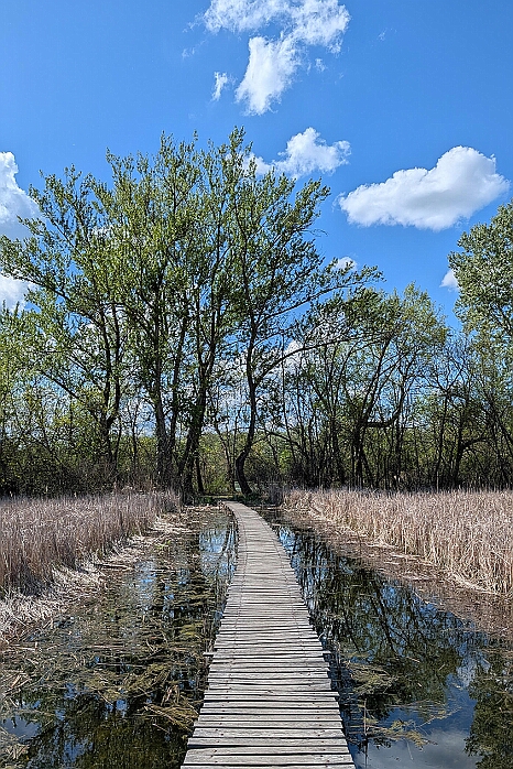 PXL_20250419_125902362