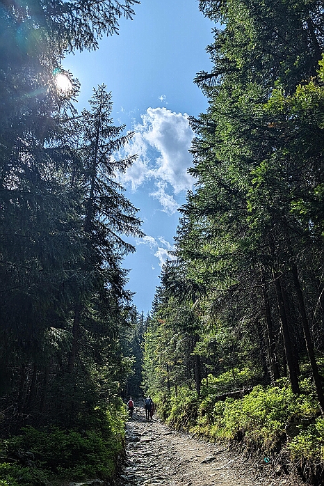 PXL_20250607_074939590