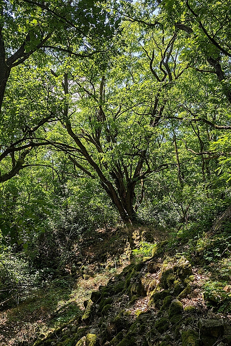 PXL_20250621_120600970