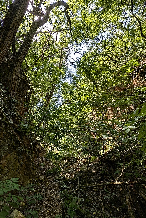 PXL_20250621_121147225