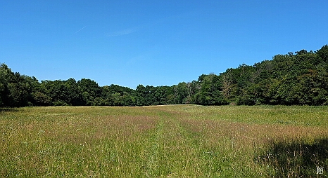 PXL_20250621_125116219