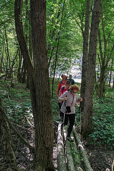 PXL_20250621_133020972