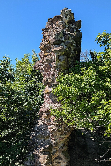PXL_20250531_074919799