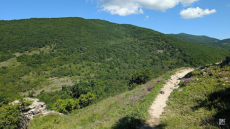 PXL_20250531_080216928