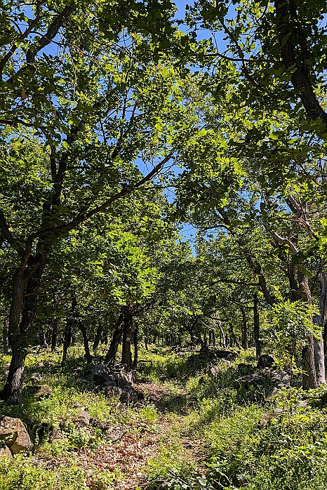 PXL_20250531_080918835