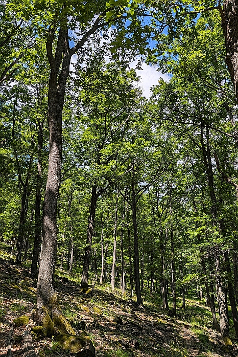 PXL_20250531_085904477