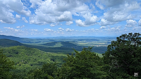 PXL_20250531_102839643