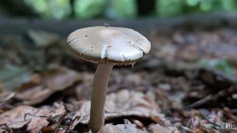 PXL_20250531_124731391
