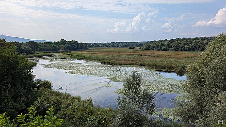 PXL_20250906_113428948