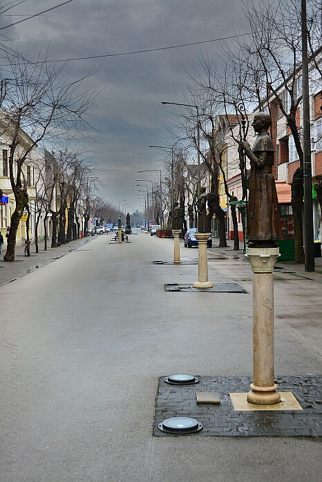 DRY_2473