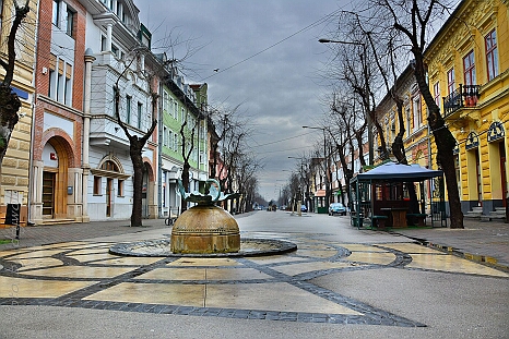 DRY_2480