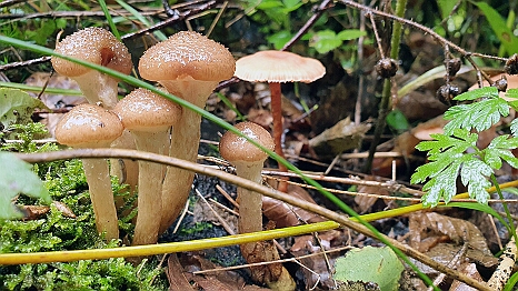 20201016_121212