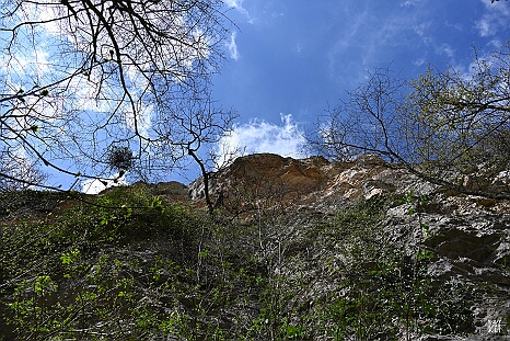 DRY_0054