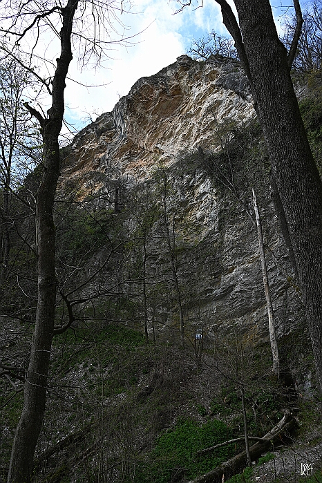 DRY_0056