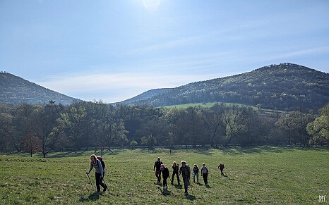 PXL_20250405_073015728