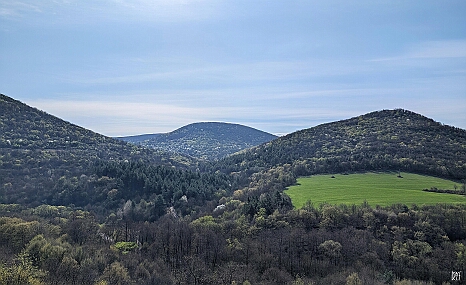 PXL_20250405_073540162