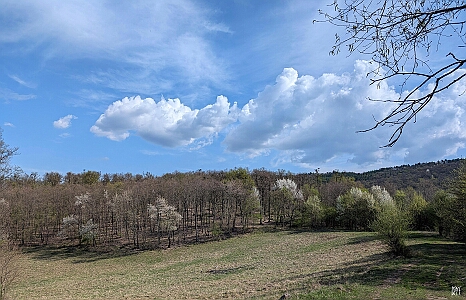 PXL_20250405_075644332