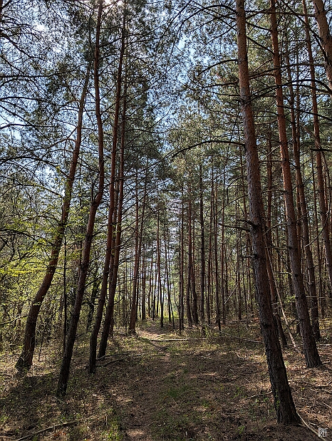PXL_20250405_091149024