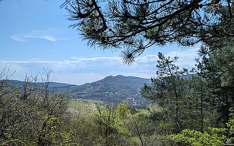 PXL_20250405_091307994
