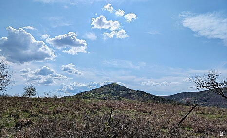 PXL_20250405_094808471