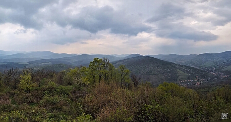 PXL_20250405_125523793