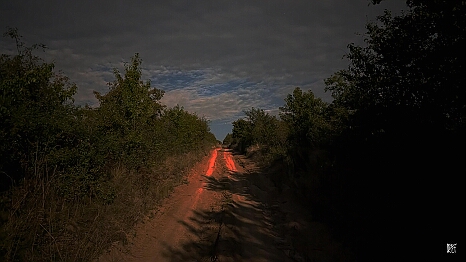 PXL_20250809_205254483.NIGHT