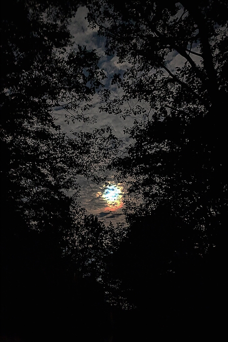 PXL_20250809_211756843.NIGHT