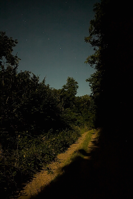 PXL_20250809_213439088.NIGHT