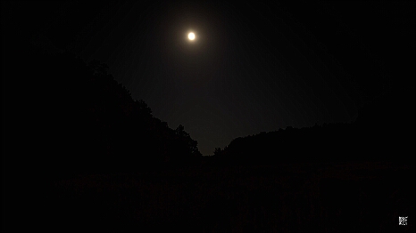 PXL_20250809_224146518.NIGHT