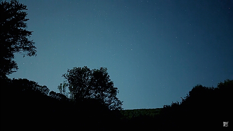 PXL_20250810_005543367.NIGHT