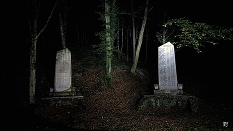 PXL_20250810_010101990