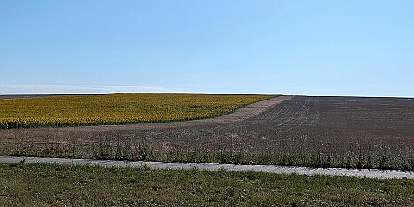PXL_20250719_060942412