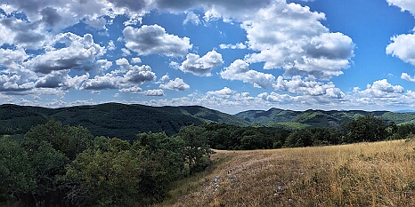 PXL_20250719_093406000