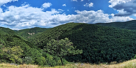PXL_20250719_110015328