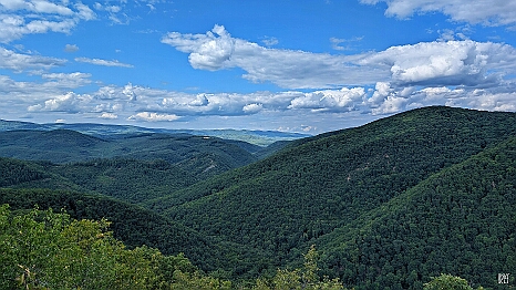 PXL_20250719_140922455