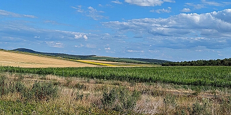 PXL_20250719_151033112