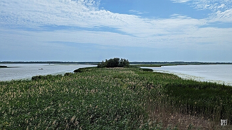 PXL_20250726_094128211