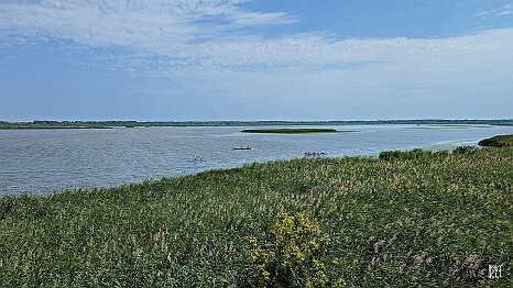 PXL_20250726_094939575