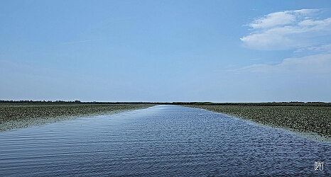 PXL_20250726_105655482