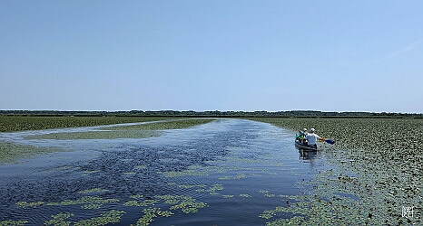 PXL_20250726_110518611