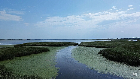 PXL_20250726_125224217
