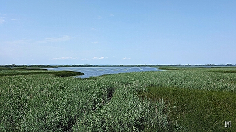 PXL_20250726_125546006