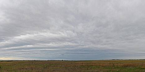 DRY_3604p