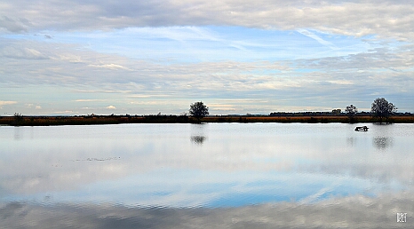 DRY_3652
