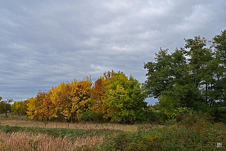 DRY_3682