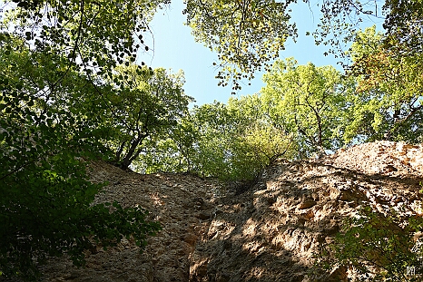 DRY_3594