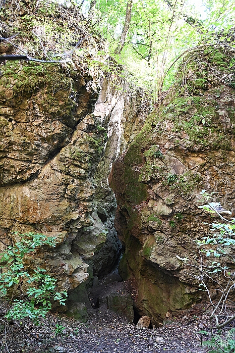 DRY_3595