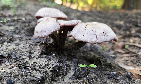 20250920_102609
